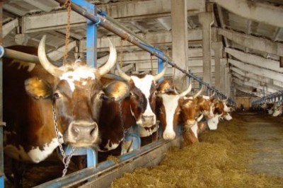 .jpg_400_41 .jpg_400_41