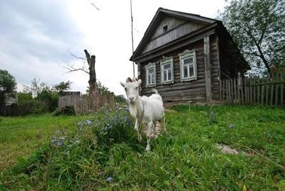 .jpg_400_700 .jpg_400_700