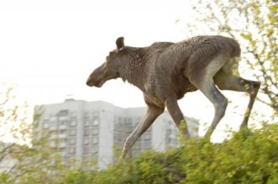 03bb1a272fc0f829b1eeb1989bb284e2_400_01 03bb1a272fc0f829b1eeb1989bb284e2_400_01