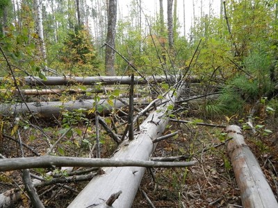 1-f0d147d1186005fa860160c8f207b4c4_type6_400 1-f0d147d1186005fa860160c8f207b4c4_type6_400