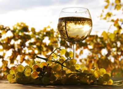 1110201522280014_400 1110201522280014_400