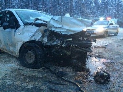 12331123b3zeuf9ycgs_400_01 12331123b3zeuf9ycgs_400_01