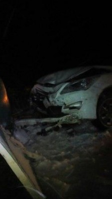 1234x4zm_400 1234x4zm_400