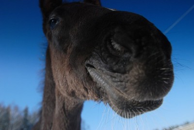 1235111570_4afa1079e815d98ad7_400 1235111570_4afa1079e815d98ad7_400