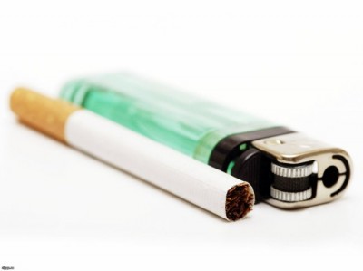 1260623531_4f45ee5314fe_400 1260623531_4f45ee5314fe_400