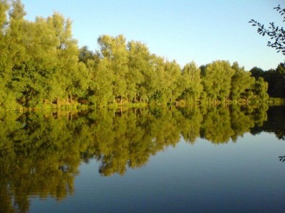 1315944031doimhngjgxkmrpkvx0vz_400 1315944031doimhngjgxkmrpkvx0vz_400