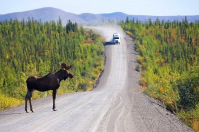 1387122493_480x320_iedyh5cuu0hceerqq40i3urxignmcjnk_400 1387122493_480x320_iedyh5cuu0hceerqq40i3urxignmcjnk_400