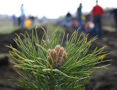 1413626414_400 1413626414_400