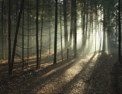 213648_400 213648_400