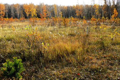 2574064_400 2574064_400