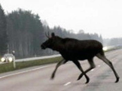 257829_400_01 257829_400_01