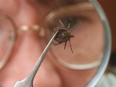 33c65cffbed2a36e38d8ae229dfb1511_400 33c65cffbed2a36e38d8ae229dfb1511_400