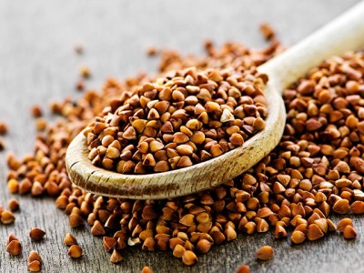 510572_20120403141953_400 510572_20120403141953_400