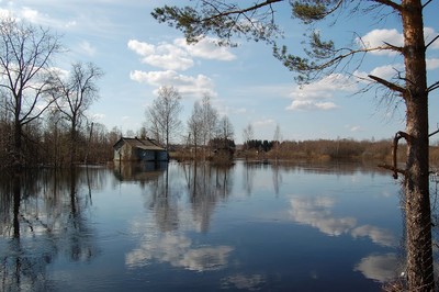 52255921_400 52255921_400