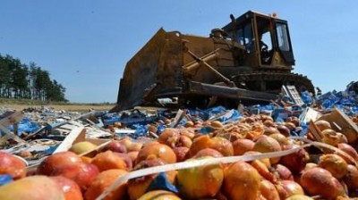 792a758368fa5e0ce4e36b730542e2cc328988aa2edf0ee2e32adf3645c7e339_400 792a758368fa5e0ce4e36b730542e2cc328988aa2edf0ee2e32adf3645c7e339_400