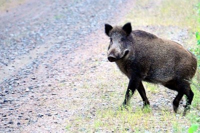 92462312_400 92462312_400