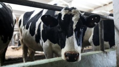 _3890s2_400 _3890s2_400