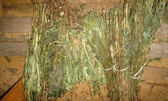 a5bc0ce9-0601-4291-a4cf-8c2c58e81198 a5bc0ce9-0601-4291-a4cf-8c2c58e81198