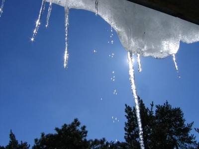 article1946_400 article1946_400