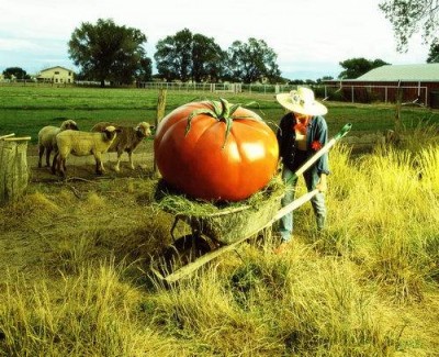 b4fd7a8f038e3c17f1bed818c8ccfc26_400 b4fd7a8f038e3c17f1bed818c8ccfc26_400