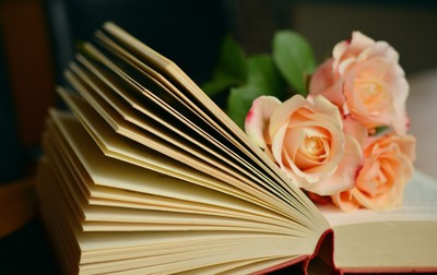 book_book_pages_read_roses_romantic_literature_pages_paper-787127.jpgd_400 book_book_pages_read_roses_romantic_literature_pages_paper-787127.jpgd_400