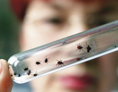 c6f36998e822427f683a47cc92a014b2_400 c6f36998e822427f683a47cc92a014b2_400