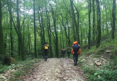 c858d9a461cd3c8e9a2bc4f2b8af55f9_400 c858d9a461cd3c8e9a2bc4f2b8af55f9_400