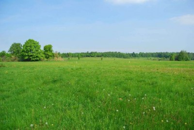 cdehmecobqy_400 cdehmecobqy_400