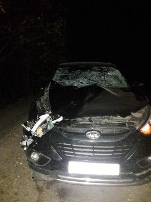 ffm8phjtttq_400 ffm8phjtttq_400