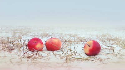 fonstola.ru-144854_400 fonstola.ru-144854_400