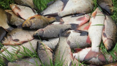 fonstola.ru-84518_400 fonstola.ru-84518_400