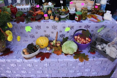 fowt3m0oave_400 fowt3m0oave_400