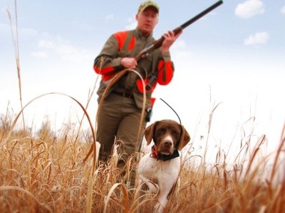 gps_osheinik_v_pole_400_01 gps_osheinik_v_pole_400_01