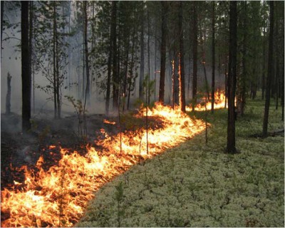 gy_000619_400 gy_000619_400