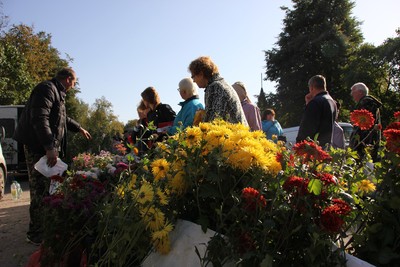 haapvikmsrg_400 haapvikmsrg_400