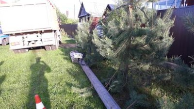 hkkrqtborz8_400_02 hkkrqtborz8_400_02