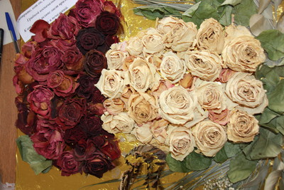 img_0051_400 img_0051_400