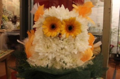 img_0320_400_01 img_0320_400_01