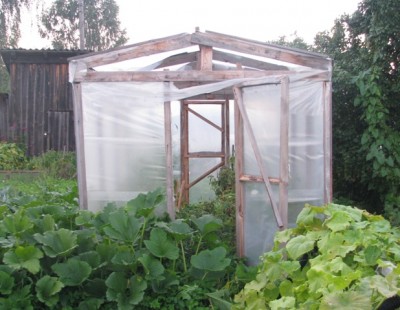 img_0904-800x600_400 img_0904-800x600_400