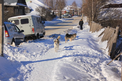 img_8176_400 img_8176_400