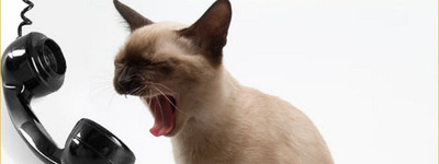 original_400_01. original_400_01.