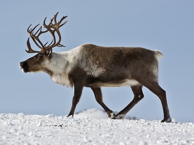 post-1009855-1392545151_400. post-1009855-1392545151_400.