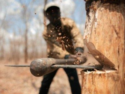 preview_48993_1455611863_400 preview_48993_1455611863_400