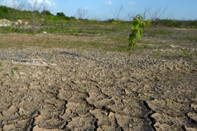 rian_02430411.hr.ru_default_400 rian_02430411.hr.ru_default_400