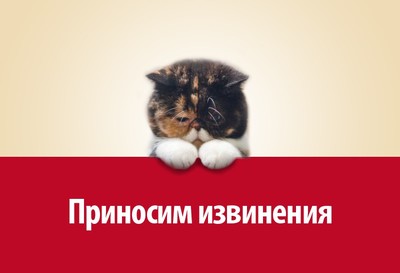 sorry-cat_400 sorry-cat_400