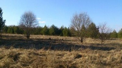 yt6rupkxph4_400_02 yt6rupkxph4_400_02